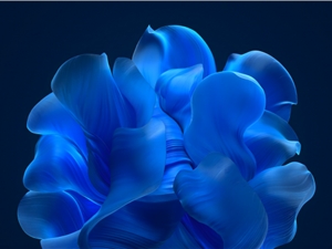 [下载]微软从未发布的Windows 11早期版本的“Bloom”墙纸